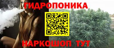 apvp Кунгур
