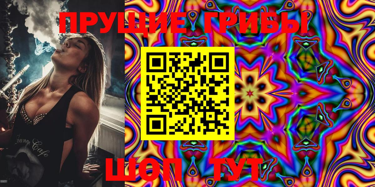 Кириши  Галлюциногенные грибы Psilocybe  хочу наркоту  Вход с VPN 